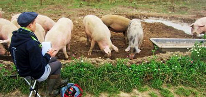 Tagung „Jugendkunstschulen in ländlichen Regionen“ Tagung „Jugendkunstschulen in ländlichen Regionen“